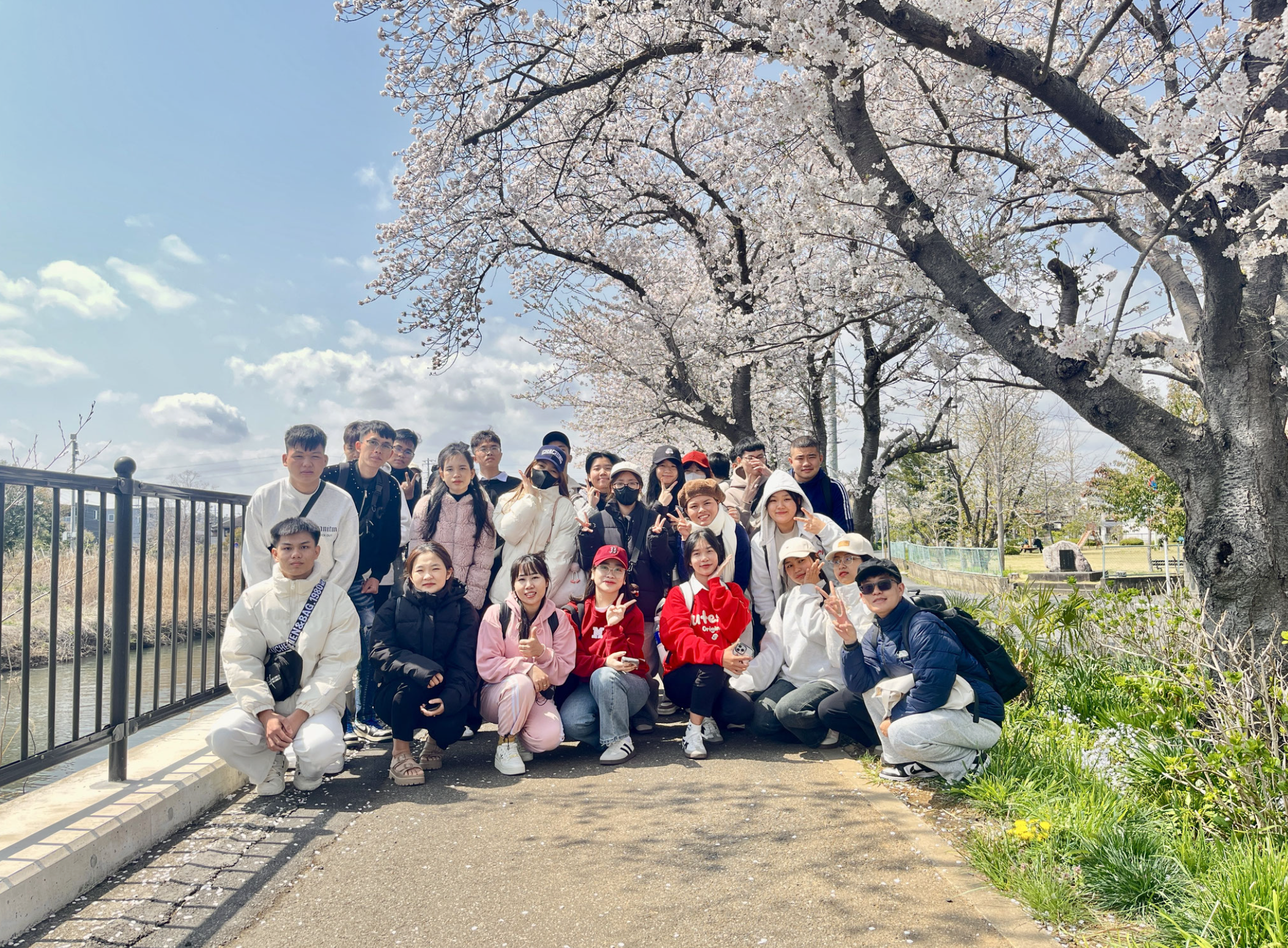 東京さくら学院_桜