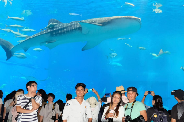 JSL日本アカデミー 沖縄校