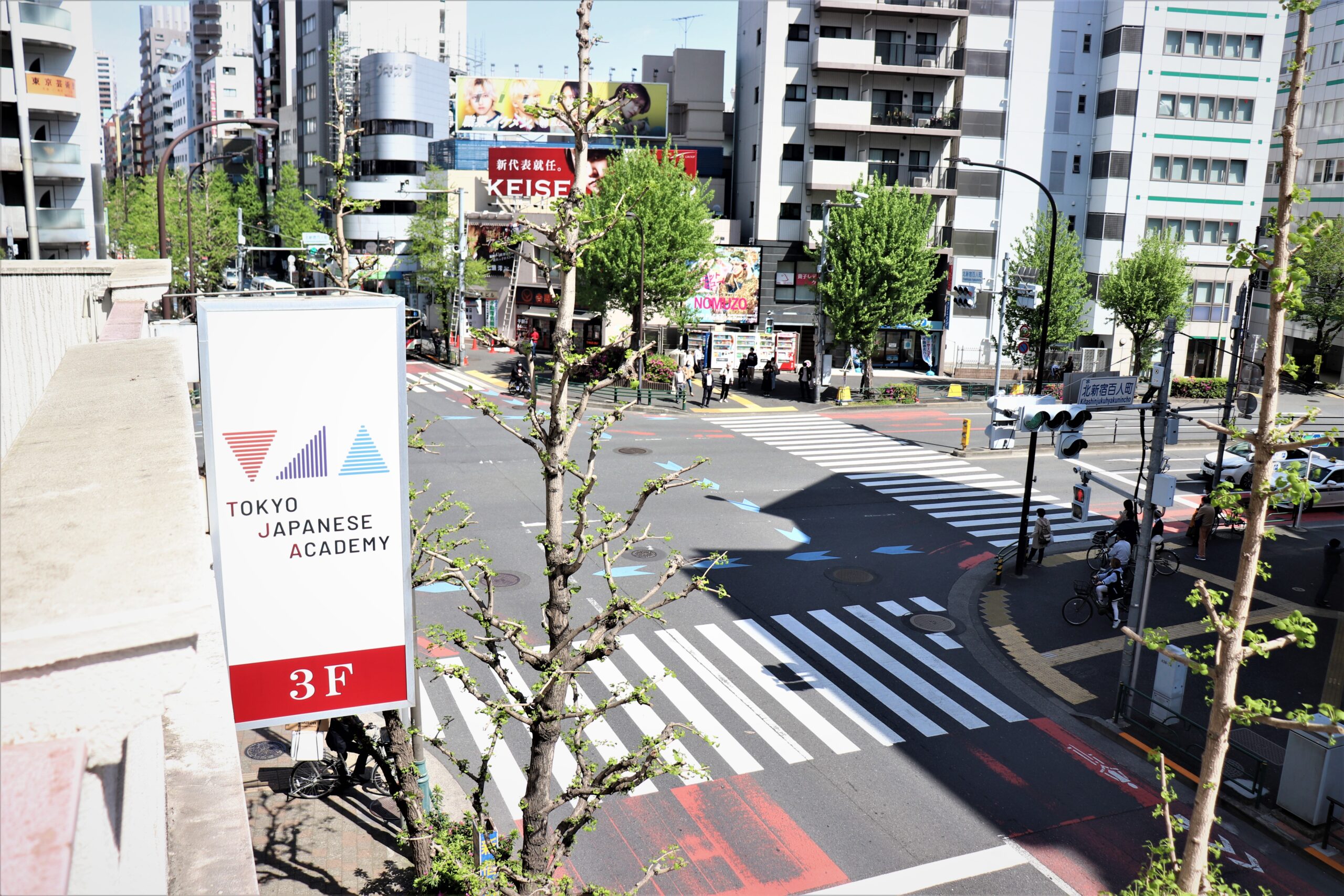 TOKYO JAPANESE ACADEMY (TJA)|東京都|日本語教師求人