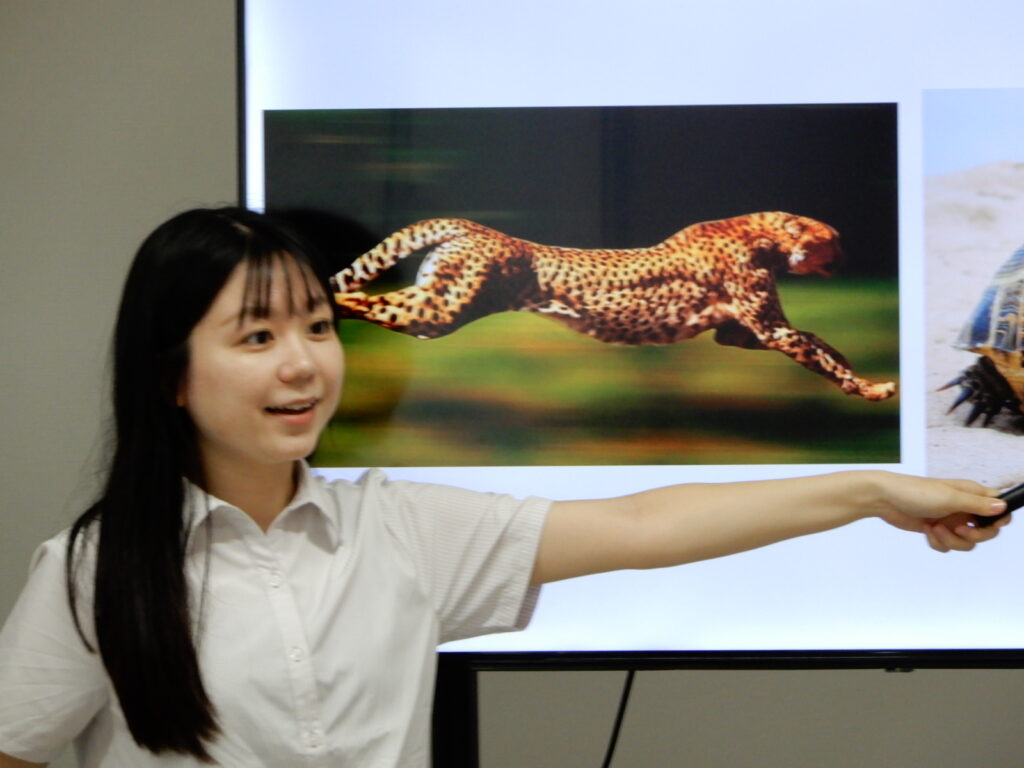 あおもり日本語学園　授業風景（教員）
